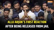 Allu Arjun breaks silence after release from jail, says 'I am sorry, shall support Revathi's family'