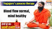 Yoga 3 December 2024: Effect of stroke in winter..fear of bursting of brain veins