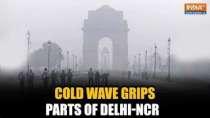 Delhi: Dense fog grips parts of National Capital region as temperature continues to drop