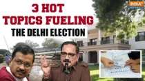 Delhi Assembly Elections 2025: Top 3 issues defining Delhi's election campaign