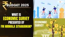 Budget 2025: What Is the Economic Survey Presented by FM Nirmala Sitharaman?