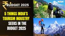 Budget 2025: 5 Things India