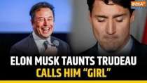 Elon Musk taunts Trudeau, calls him 