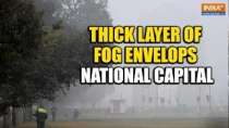 Delhi: Thick layer of fog envelops National Capital as minimum temperatures drop to 8 degrees