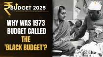 Budget 2025: Indira Gandhi