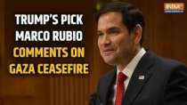 Marco Rubio weighs in on Gaza ceasefire deal as Trump's state secretary nominee