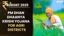 Budget 2025: PM Dhan Dhaanya Krishi Yojana to Aid 1.7 Crore Farmers