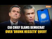 Signal Chat Leak: CIA Chief Has Fiery Exchange With Democrat Over Hegseth's Alleged Drinking Habits