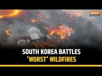 South Korea Wildfire: Worst Wildfire In History Takes 28 Lives | Rains Help Contain Flames
