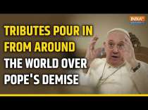 Pope Francis Passes Away: Global Leaders Pay Tribute After His Sudden Demise