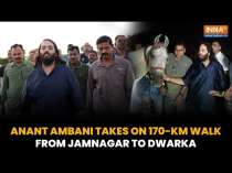 Anant Ambani Continues Padayatra With His Next Visit To Dwarkadhish Temple