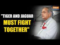 Shashi Tharoor Gives Powerful Speech In Panama, Says  "The Tiger And Jaguar Must Fight Together"
