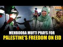 PDP Chief Mehbooba Mufti Prays for Palestine's Freedom After Offering Eid al-Adha Namaz