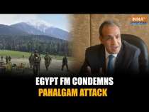 Egypt FM Condemns Pahalgam Attack on Civilians After Meeting Supriya Sule-Led Delegation in Cairo