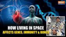 As Shubhanshu Shukla Lifts Off, Do You Know How Space Can Affect the Human Body?