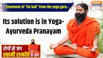 Yoga 8 June 2025 : Know the right treatment of 'fat ball' from the yoga guru... Its solution is in Yoga-Ayurveda Pranayam