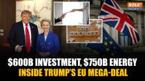 Trump's EU Deal Explained: $750 Billion Energy & $600 Billion Investment Package