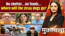 Muqabla: No shelter&hellip;no funds&hellip;where will the stray dogs go?