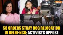 Delhi Stray Dogs Menace: SC Orders Permanent Relocation of Stray Dogs; Activists Term It Impractical