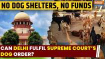 Delhi's Stray Dog Dilemma: Can Delhi Fulfil Supreme Court's Order Amid Shelter and Fund Shortages?