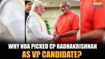 Vice President Election: RSS, Caste Factor & Tamil Nadu &ndash;Why NDA Chose CP Radhakrishnan as Candidate