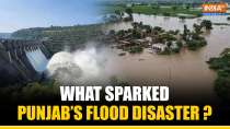 Punjab Floods 2025: Worst Disaster Since 1988 | Causes, Impact & Updates