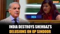 India Shatters Shehbaz Sharif's Claims on Op Sindoor at UNGA, Reminds World of Osama Bin Laden