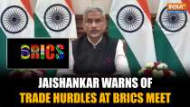 Jaishankar Warns of  'Serious Stresses' and Rising Global Barriers at BRICS Summit