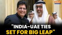 Piyush Goyal Calls Visit to UAE 'Constructive', Sees Major Leap in Bilateral Ties