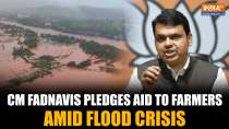 CM Devendra Fadnavis: "Trying to Help Farmers as Much as We Can" Amid Flood Relief in Maharashtra
