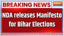 Bihar Assembly Elections: NDA releases manifesto, includes 25 resolutions for a developed Bihar
