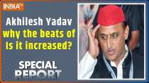 Bihar Assembly Election: Why is Akhilesh Yadav's heartbeat increased?