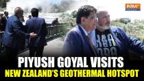 Union Minister Piyush Goyal Visits Te Puia Rotorua Geothermal Park in New Zealand
