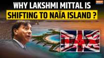 Lakshmi Mittal Shifts to Dubai: What Is Na&iuml;a Island and Why Is The Billionaire Shifting Base from UK