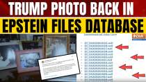 Epstein Files: DOJ Restores Trump Image to Jeffrey Epstein Document Database | World News