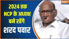 NCP panel unanimously rejected Pawar's resignation as Party Cheif 