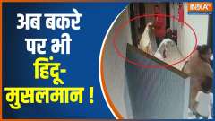 Ruckus in Mumbai housing society as family brings goats for bakrid qurabani
