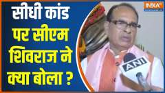 'Was deeply disturbed, pained...': MP CM Chouhan washes feet of urination case victim
