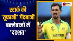 World Cup 2023: Starc Makes Perfect Start To World Cup 2023, Takes Hat-Trick Against Netherlands