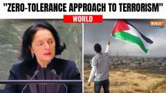India Reaffirms 'Zero-Tolerance Approach to Terrorism,' Stresses Long-Standing Bond with Palestine