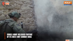 Israeli Army's Combat Dogs in Action: Oketz Unit's mission to neutralize threats | India Tv News