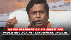 WB BJP president speaks on his arrest for protesting against Sandeshkali incident: Governor was...