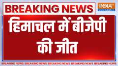 Rajya Sabha Election Result: BJP's Harsh Mahajan wins Himachal seat