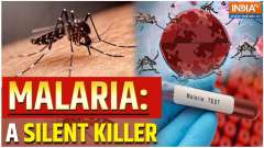 World Malaria Day: From Sub-Saharan Africa To India, How Malaria Is A Global Silent Threat?