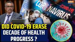 Did Covid-19 reverse decade's worth progress in life expectancy improvements? Here's what WHO said