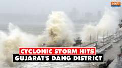 Gujarat: Cyclonic storm hits Dang district, causes severe damage