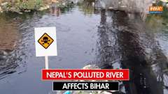 Residents of Raxaul in Bihar face major issues due to polluted river which flows from Nepal