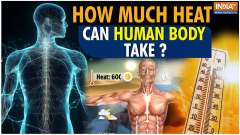 Heatwave in India: How much heat can human body take?  What happens if temperature goes beyond 40?