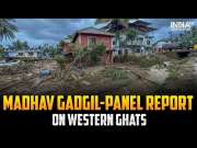 Wayanad landslides: What was Madhav Gadgil-panel report and its key recommendation?