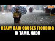 Tamil Nadu: Several low-lying areas in Madurai&rsquo;s Sellur inundated due to continuous rainfall